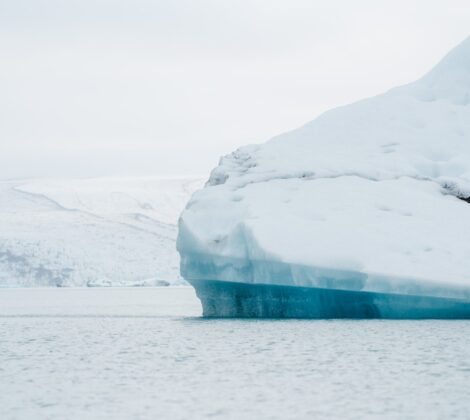 pexels-matt-hardy-2658455 (Large)